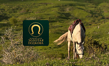 Конный клуб «Золотая подкова»